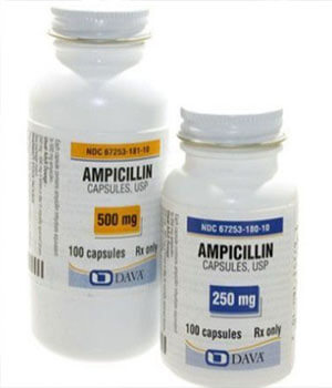 ampicillin